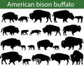 American bison buffalo silhouettes Royalty Free Stock Photo