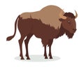American Bison Cartoon Icon in Flat Design Royalty Free Stock Photo