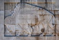 American Bison Carving Flanking Stairs of Nebraska State Capitol