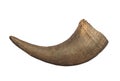 American bison horn isolated Royalty Free Stock Photo