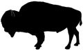 American Bison silhouette Royalty Free Stock Photo