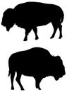 American Bison silhouette in black on white background Royalty Free Stock Photo