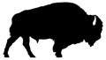 American bison silhouette Royalty Free Stock Photo