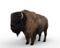 American Bison standing still. 3D illustration isolated on white Royalty Free Stock Photo