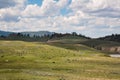 American Bison on Wild Animals on the Open Plains of Yellowstone