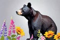 American Black Bear animal dominant carnivore