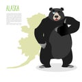 American black bear baribal and Alaska. Grizzlies showing thumbs Royalty Free Stock Photo