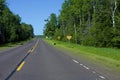 American Black Bear Cubs Crossing Road  809415 Royalty Free Stock Photo