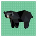 American black bear Royalty Free Stock Photo