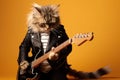 American Bobtail Cat Dressed As A Rockstar On