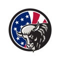 American Buffalo USA Flag Icon Royalty Free Stock Photo