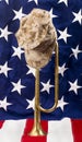 American Bugle Royalty Free Stock Photo