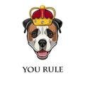 American Bulldog. Crown. Dog king. You rule lettering. Dog portrait. Vector.