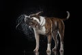 American Bulldog, dog Motion in the water Royalty Free Stock Photo