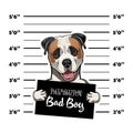 American Bulldog prisoner. Arrest photo. Police placard, Police mugshot, lineup. Police department banner. Dog criminal. Vector.