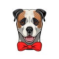 American Bulldog, Red Bow. Cute Dog Face Portrait. Dog Breed. Accessory. Vector.