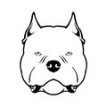 American bully dog head emblem. Vector illustration.