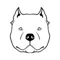 American bully dog head emblem. Royalty Free Stock Photo