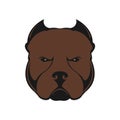 American bully dog logo. The dog`s head emblem. Royalty Free Stock Photo