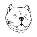 American bully emblem. Cartoon Bully`s dog head.