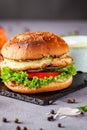 American burger with chicken cutlet, tomato, cucumber, green sauce. Sauce and for french fries on a black stone slate board Royalty Free Stock Photo