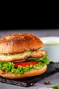 American burger with chicken cutlet, tomato, cucumber, green sauce. Sauce and for french fries on a black stone slate board Royalty Free Stock Photo