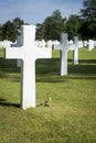 American Cemetary, Normandy, France Royalty Free Stock Photo