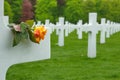 American Cemetery in Luxembourg - marble crosses Royalty Free Stock Photo