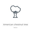 American chestnut tree icon. Thin linear american chestnut tree outline icon isolated on white background from nature collection. Royalty Free Stock Photo