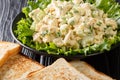 American chicken salad with celery, eggs and onions seasoned with mayonnaise close-up on a plate. Horizontal Royalty Free Stock Photo