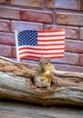 North American chipmunk with a flag