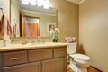 American classic half bathroom with vanity cabinet and a toilet