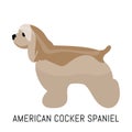 American cocker spaniel. Dog, flat icon. Isolated on white background. Royalty Free Stock Photo