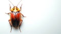 American Cockroach isolated on a white surface. Close-up of Periplaneta americana. Pest insect. Concept of infestation