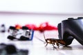 American cockroach, American Periplaneta, messy children`s room. Pest concept indoors, pest control