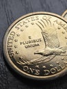 American coins close-up lie on dark surface of table. Soaring eagle Sacagawea dollar coin. US economy and money. Vertical Royalty Free Stock Photo