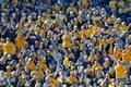 American college football - crowd - WVU