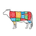 American colorful Meat cuts diagram poster design. Beef scheme for butcher shop vector illustration. Cow animal silhouette vintage