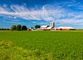 American Country Farm