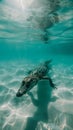 American crocodile swimming in ocean, fog around. Crocodile swimming in river. Beautiful photo Royalty Free Stock Photo