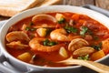 American cuisine: Manhattan chowder soup macro. horizontal Royalty Free Stock Photo