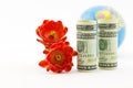 American currency, crimson blossoms, and globe Royalty Free Stock Photo