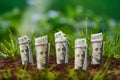American dollar banknote on natural green background. Growth cash dollars concept. Money growing from ground. Agricultural Royalty Free Stock Photo