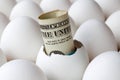 American dollars banknote in empty egg shell among whole white chicken eggs in cardboard tray closeup