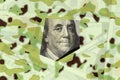 American dollars in camouflage.