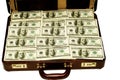 American Dollars in Case Royalty Free Stock Photo