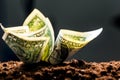 American dollars grow Royalty Free Stock Photo