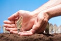 American dollars grow from the ground Royalty Free Stock Photo