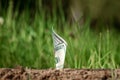 American dollars grow out of the ground like plants against a backdrop of greenery. The concept of investment, passive income, Royalty Free Stock Photo