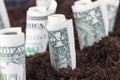 American dollars in the soil of an agricultural field Royalty Free Stock Photo